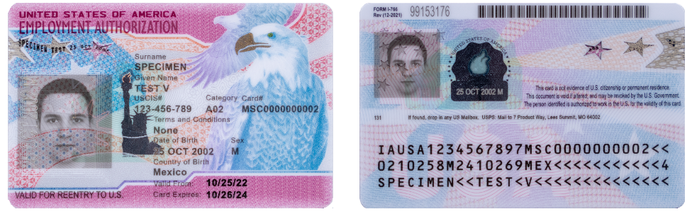 Example of EAD / Work Permit Card for Employment Authorization